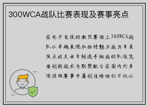 300WCA战队比赛表现及赛事亮点