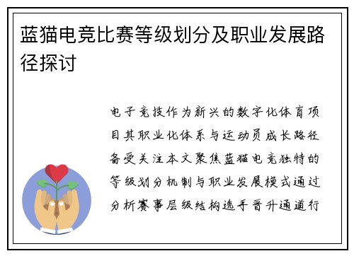 蓝猫电竞比赛等级划分及职业发展路径探讨